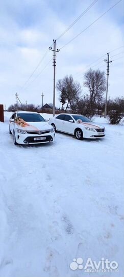 Прокат авто на свадьбу