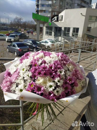 Букет цветов, 51 хризантема