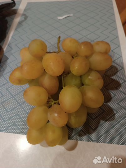 Расродаю Саженцы винограда, малина, смородина