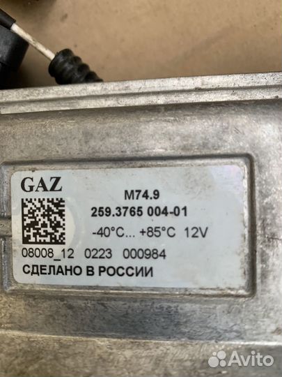 Мозги эбу на газель эвотэк