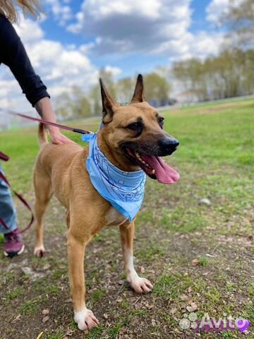 Замечательная девочка нуждается в своей человеке