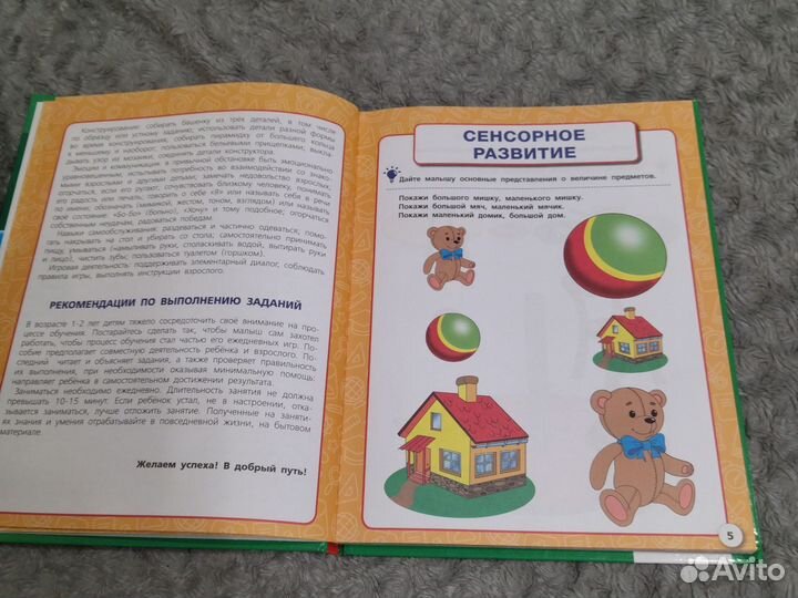 Годовой курс М. А. Жукова