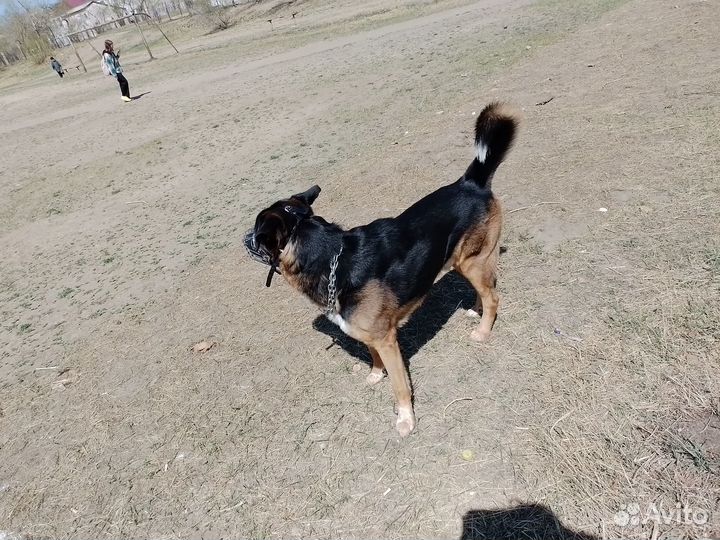 Случка кабеля