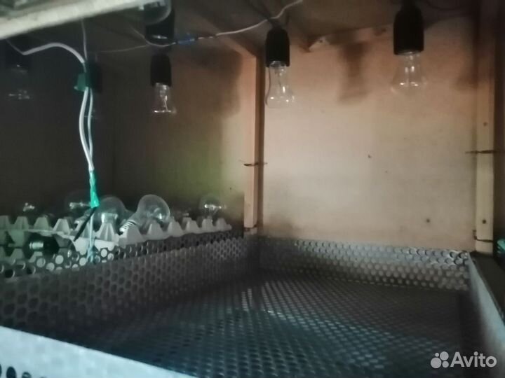 Инкубатор бу