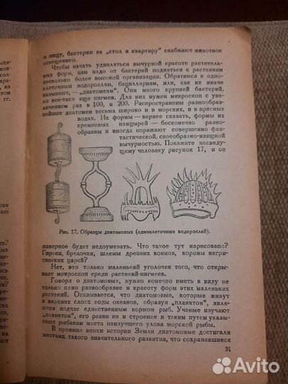 Винтаж: Занимательная ботаника 1934 г Цингер