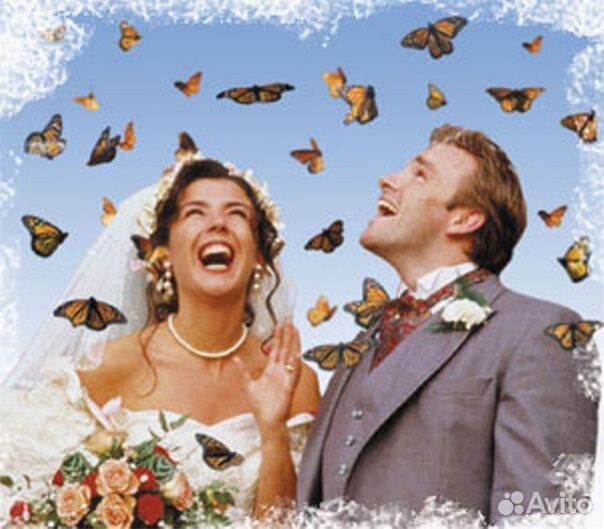 Франшиза Салюты из Живых Тропических Бабочек 3117