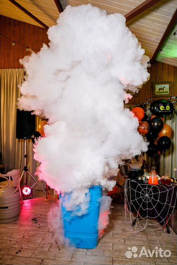 Научное шоу Крио шоу Химическое шоу Аниматоры