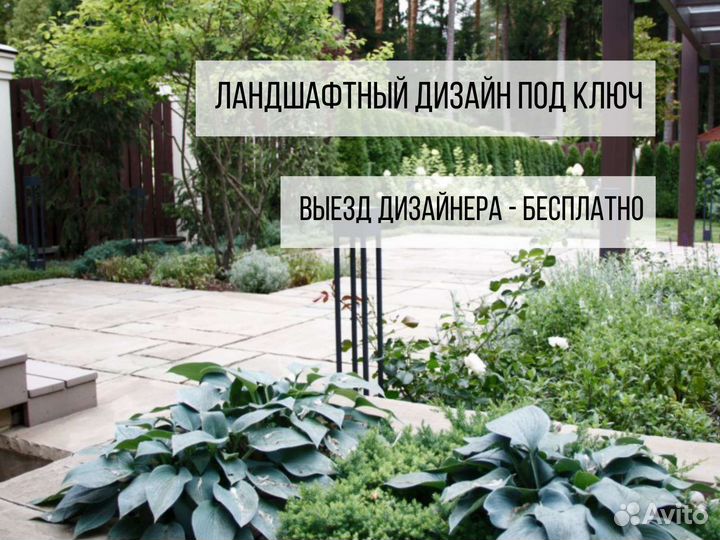 Ландшафтный дизайн участка / растения для сада