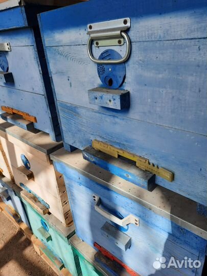 Пчелы и улья