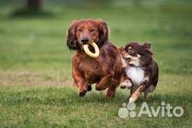 Видеокамера