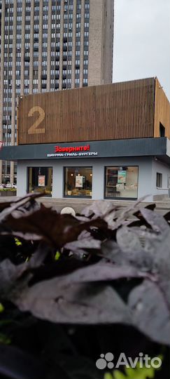 Сотрудник ресторана