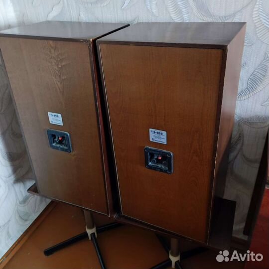 Акустические колонки Радиотехника S90B