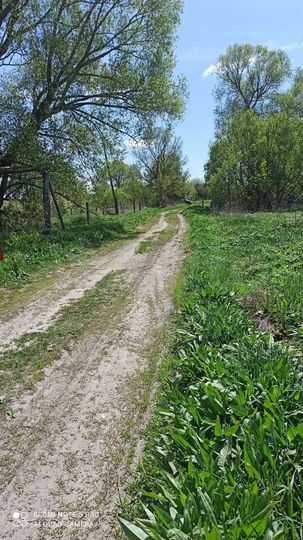 Участок 25 сот. (ИЖС)