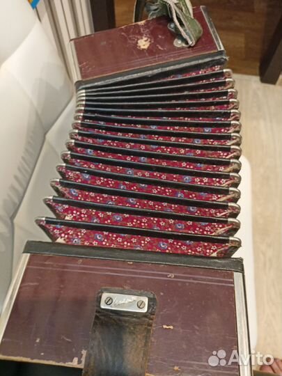 Гармонь шуйская