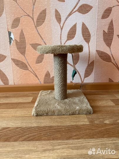 Когтеточка