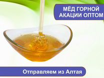 Натуральный мёд 2023 г (опт)