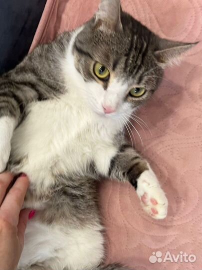 Филька хочет домой