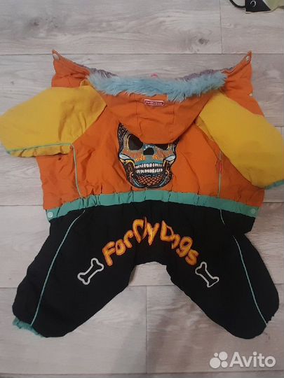 Одежда для маленьких собак