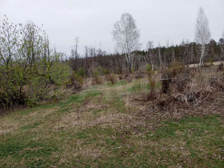 Участок 15 сот. (ИЖС)