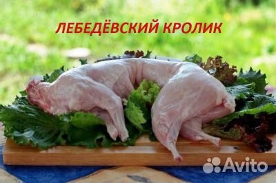 Продам мясо кролика
