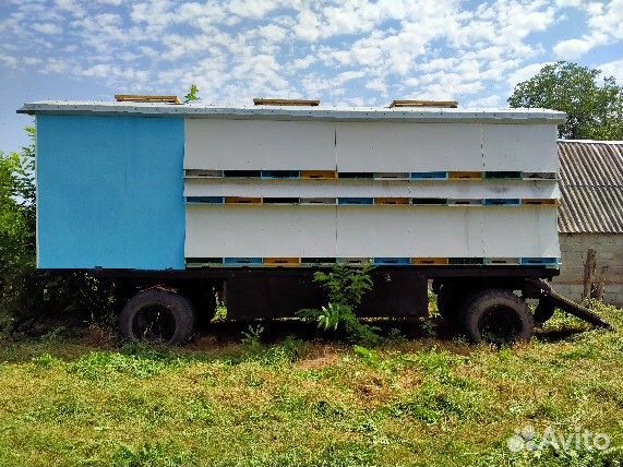 Пчелопавильон