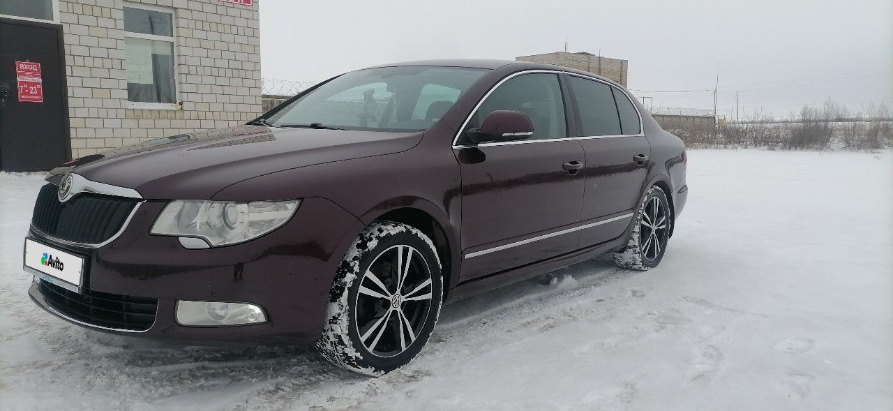 Skoda Superb: фото владельца