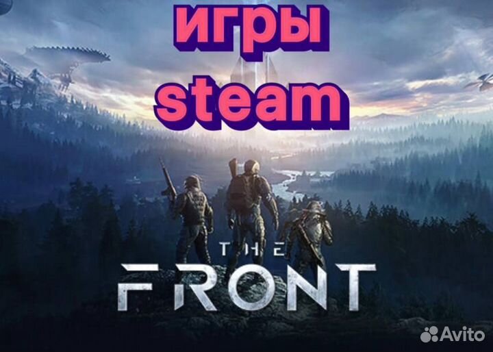 The front - Пополнение Steam