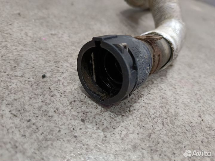 Шланг охлаждения для 2.0 BWA Skoda Octavia A5