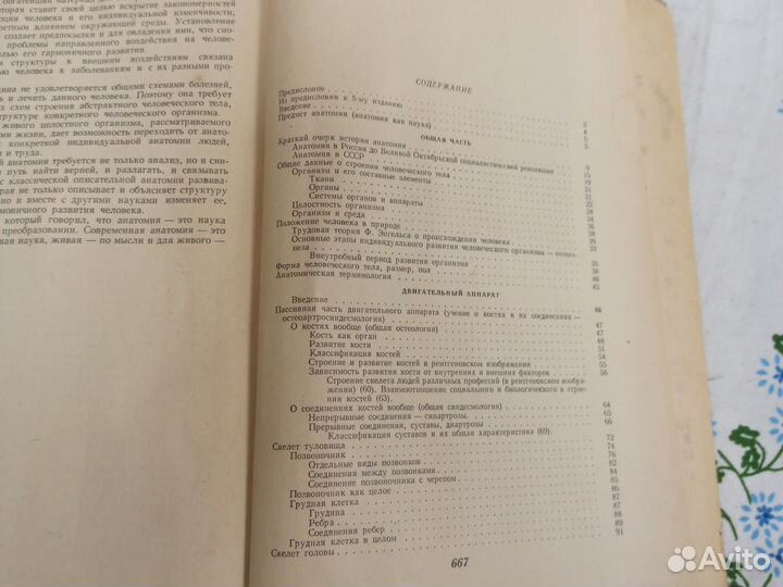 М. Г. Привес Анатомия человека 1974