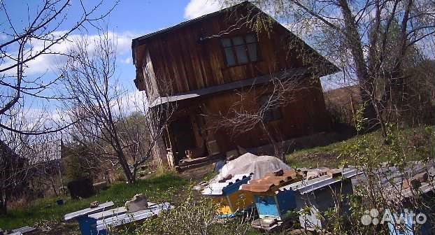 Продам пчелосемьи