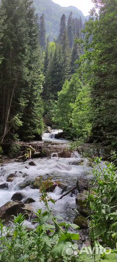 Туры в горы (доставка тур.групп в экск-ные ра-ны)