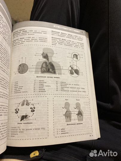 Егэ огэ Биология Математика Русский язык