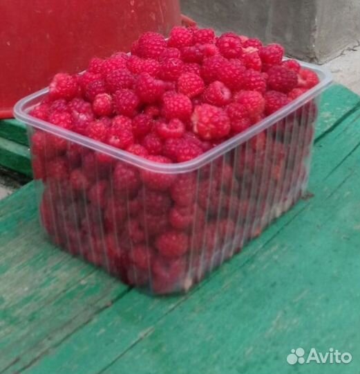 Домашняя консервация