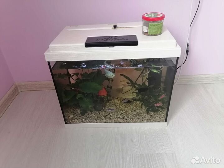 Аквариум с рыбками
