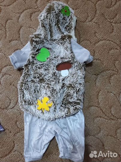 Костюм Ёжика