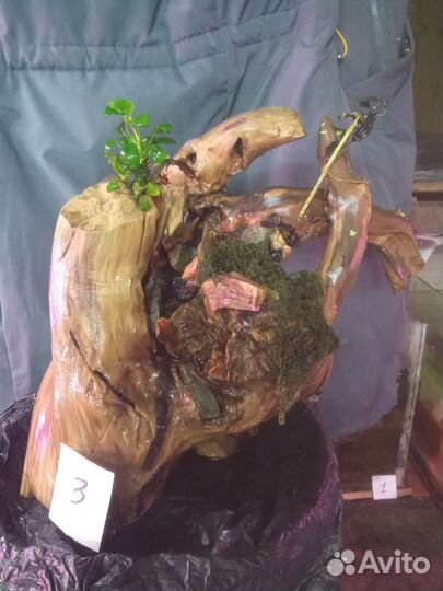 Коряги для аквариума