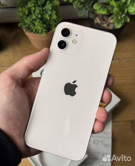iPhone 12, 128 ГБ