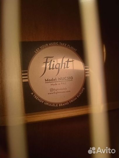 Укулеле flight концерт