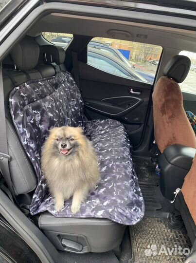 Автокресла защитные для перевозки животных