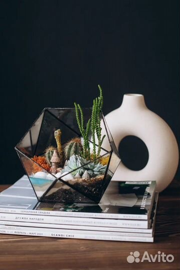 Флорариум живой мир внутри