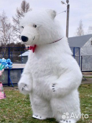 Поздравление Мишка, Панда, Чебурашки и других