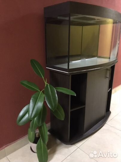 Аквариум 200 л с тумбой и крышкой
