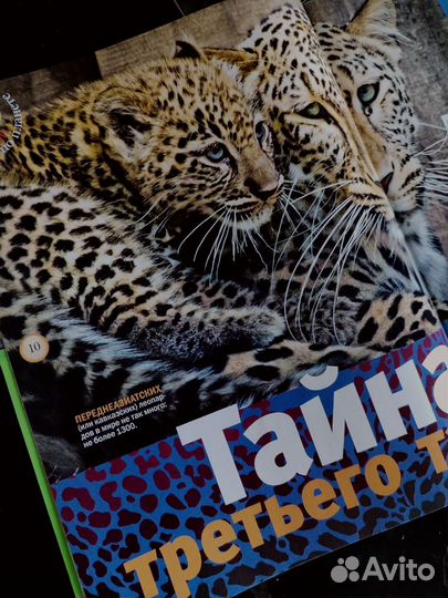 Журналы Geo ленок детские