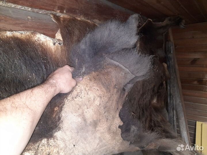 Шкура медведя имитация