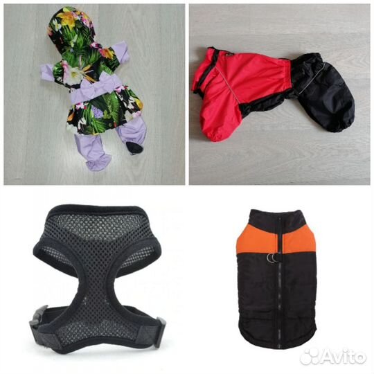 Много одежды и обуви для собак и кошек