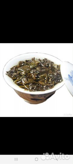 Чай Габа Алишань, gaba 2023 года