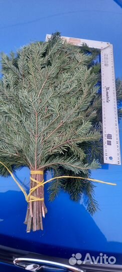 Веник березовый, пихтовый, эвкалиптовый