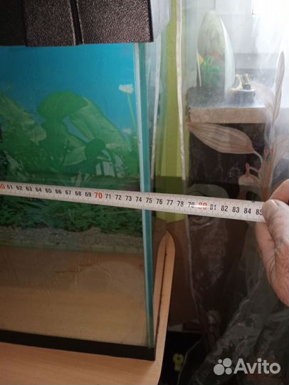 Аквариум