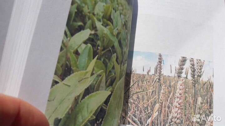 Продвижение личных блогов книга