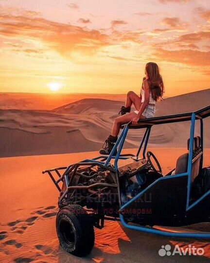 Картина по номерам 40x50 Девушка на баги среди